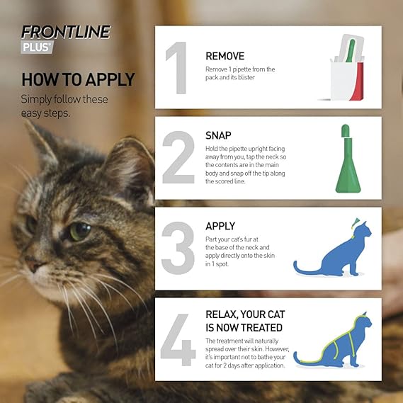 Flea & Tick Treatment for Cats and Ferrets - 6 Pipettes