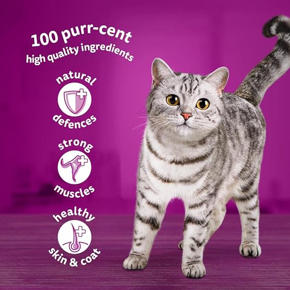 Adult Wet Cat Food-Megapack (40 x 85 g)