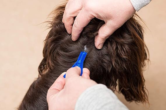 Flea & Tick Treatment for Large Dog