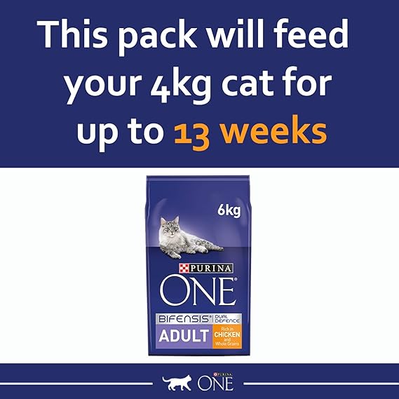 Adult Dry Cat Food Rich in Chicken 6kg